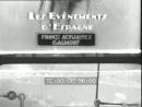 vignette